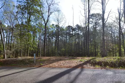 12168 Lake Rosemound Rd, Saint Francisville, LA 70775