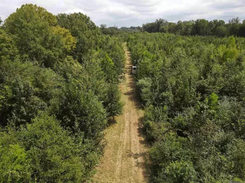 Hwy 171, Many, LA 71449