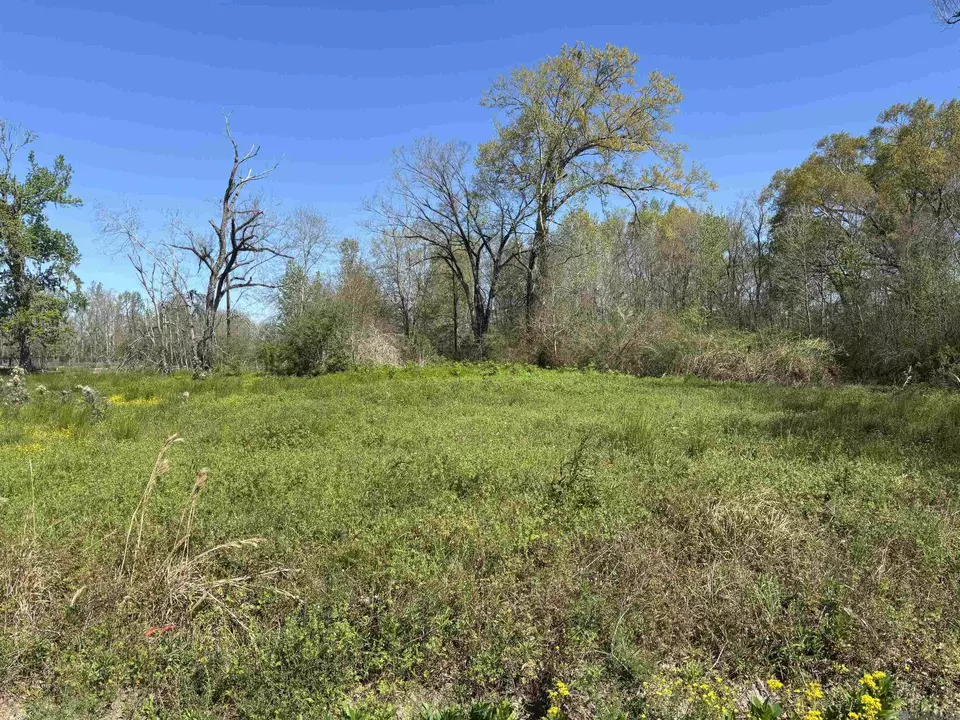  Don Lou Rd, Gonzales, LA 70737 photo 1