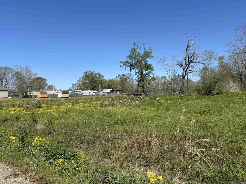  Don Lou Rd, Gonzales, LA 70737 photo 3
