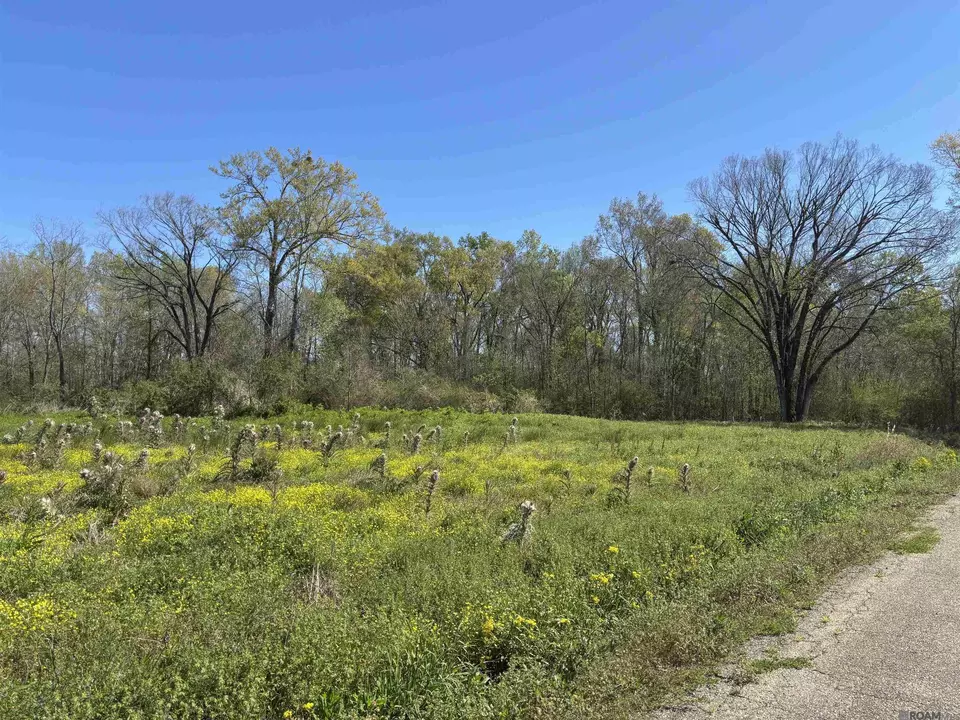  Don Lou Rd, Gonzales, LA 70737 photo 4