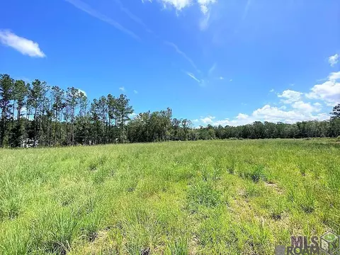 27554 S And 27538 S Frost Rd, Livingston, LA 70754