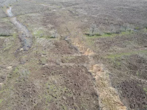 Abbington Loop, Mansfield, LA 71052 photo 10