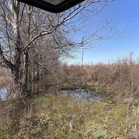 Abbington Loop, Mansfield, LA 71052 photo 5