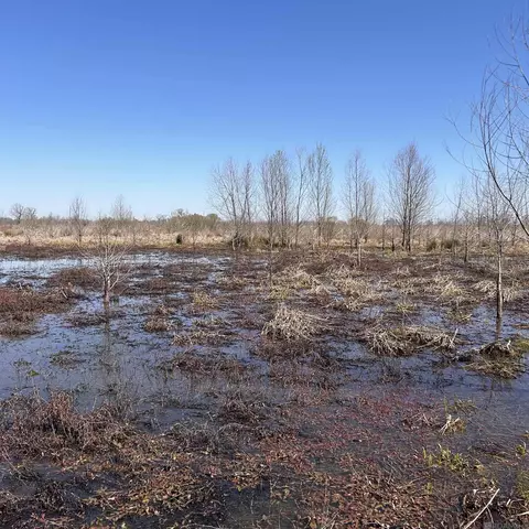 Abbington Loop, Mansfield, LA 71052 photo 9