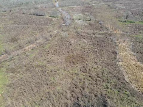 Abbington Loop, Mansfield, LA 71052 photo 7