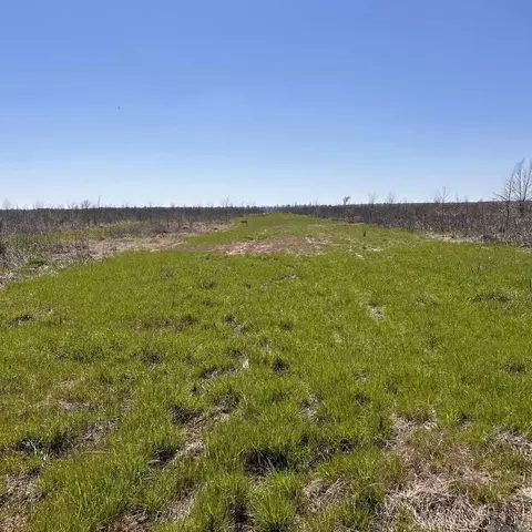 Abbington Loop, Mansfield, LA 71052 photo 8