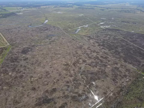 Abbington Loop, Mansfield, LA 71052 photo 2