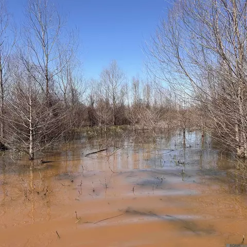 Abbington Loop, Mansfield, LA 71052 photo 4