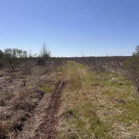 Abbington Loop, Mansfield, LA 71052 photo 3
