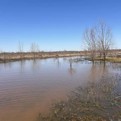 Abbington Loop, Mansfield, LA 71052 photo 6
