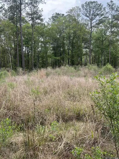lot18 La Hwy 63, Livingston, LA 70754