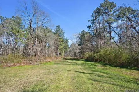 36116 Walker North Rd, Walker, LA 70785 photo 4