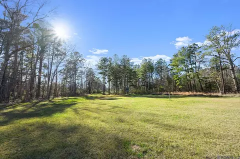 36116 Walker North Rd, Walker, LA 70785 photo 2