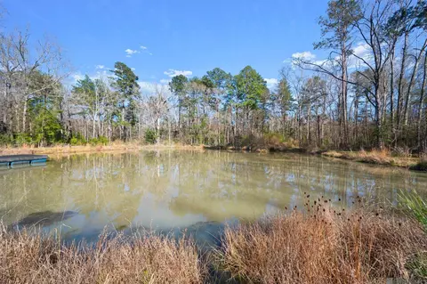 36116 Walker North Rd, Walker, LA 70785 photo 3