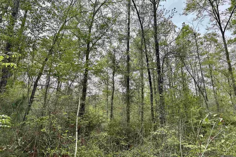 25 La Hwy 960, Clinton, LA 70722