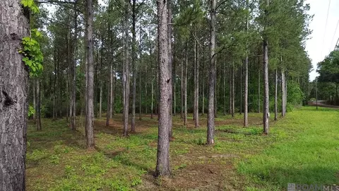 Tract D Monroe Stevens Rd, Kentwood, LA 70444