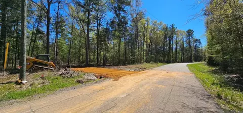 tbd Pic 1 Charles Holden Rd, Holden, LA 70744