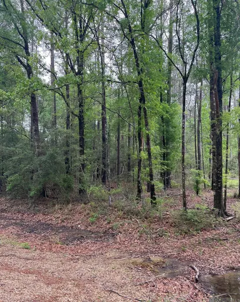 tbd Tract 5 Pride-baywood Rd, Pride, LA 70770