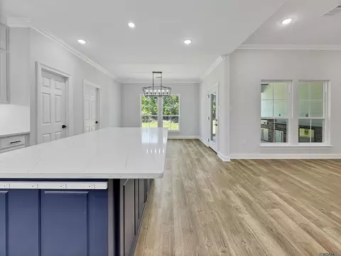 5174 Black River Rd, Darrow, LA 70725 photo 5