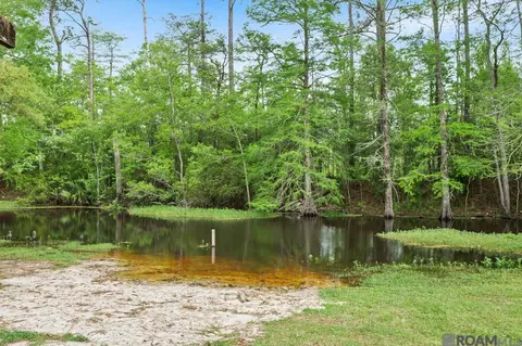 Other - 32145 Tiboe Plz, Springfield, LA 70462 photo 8 of 11