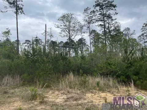 tbd Lot B Teal Mcdaniel Rd, Pine Grove, LA 70453