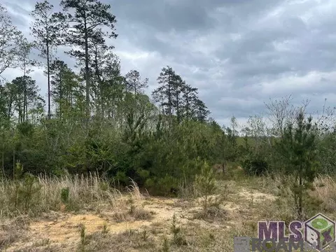 tbd Lot B Teal Mcdaniel Rd, Pine Grove, LA 70453 photo 2