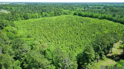 A 2 Basile Eunice Hwy, Eunice, LA 70535 photo 8