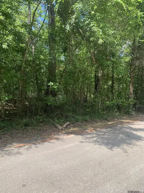 1 362 Acres Winfield Ben, Walker, LA 70785 photo 2