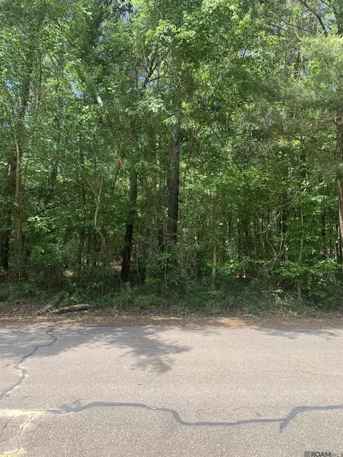 1 362 Acres Winfield Ben, Walker, LA 70785