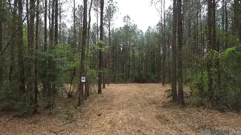 Tract C Harts Lane, Kentwood, LA 70444