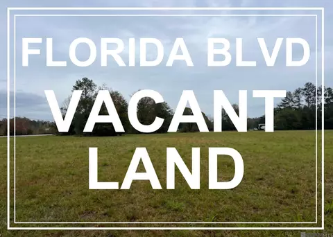 Tract Mm-1 Florida Blvd, Livingston, LA 70754