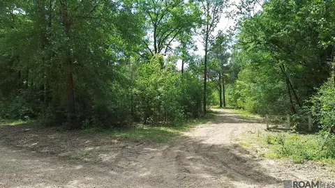 Tract 2-c-1 Bryce Hyde Rd, Roseland, LA 70456