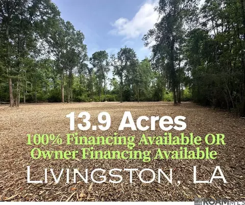 13 9 Acres Taylor Rd, Livingston, LA 70754