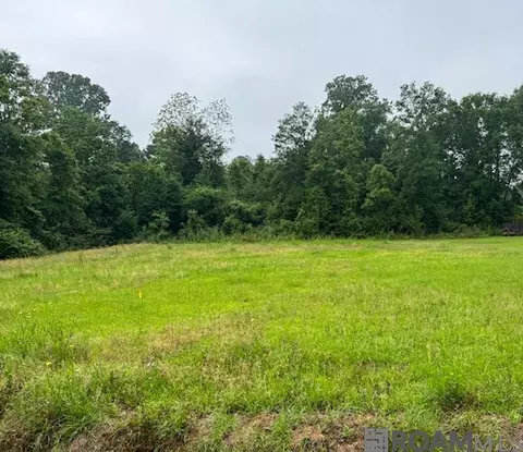 Tract J-2 Watts Rd, Livingston, LA 70754