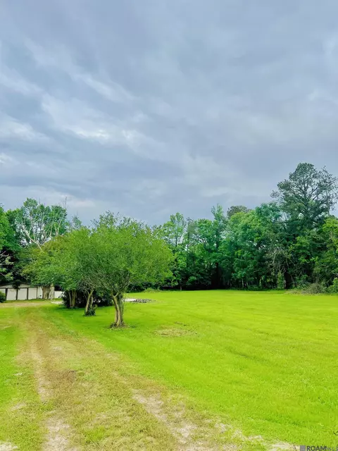 tbd Hwy 42, Livingston, LA 70754