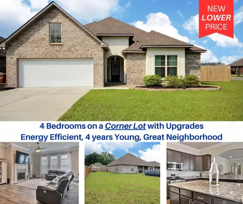 23455 Odette Ave, Denham Springs, LA 70726