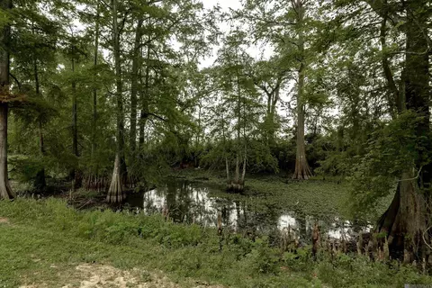 Other - 4940 Pointe Prospect Dr, Torbert, LA 70762 photo 4 of 4