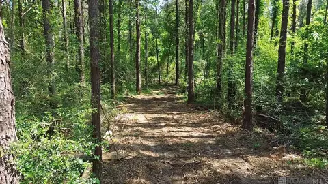 Tract B Harts Lane, Kentwood, LA 70444