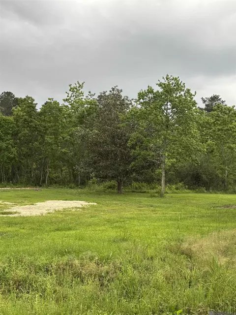 39930 Applewood Dr, Denham Springs, LA 70706