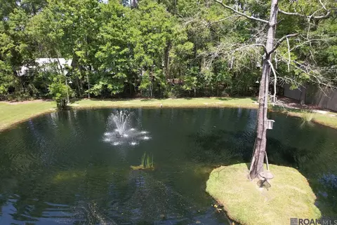 15309 E Ridge Dr, Walker, LA 70785 photo 34