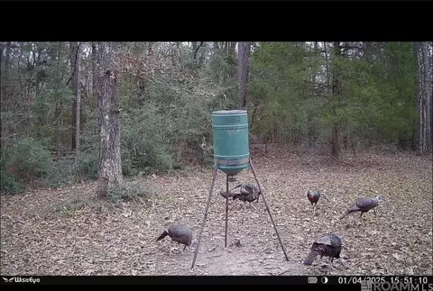 6641 Lot B River Rd, Clinton, LA 70722 photo 15