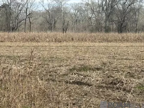 Bayou Rd, Maringouin, LA 70757