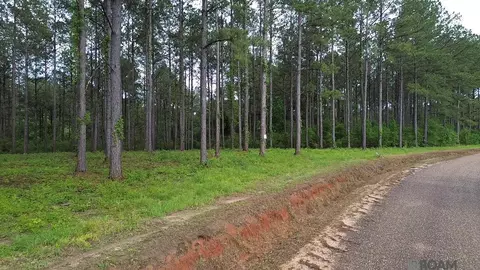 Tract B Monroe Stevens Rd, Kentwood, LA 70444