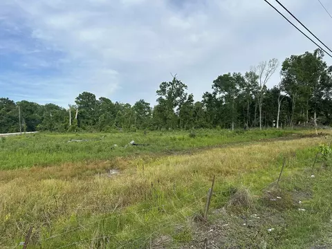 42455 Church Point Rd, Gonzales, LA 70737