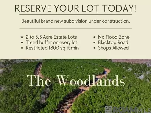 lot39 Copper Pass, Livingston, LA 70754