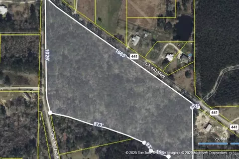 La Hwy 441, Holden, LA 70744