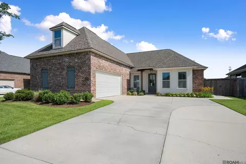 36436 Belle Savanne Ave, Geismar, LA 70734