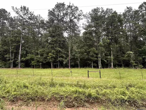 lot3 S B S Frost Rd, Livingston, LA 70754