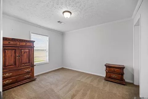 23611 Riley Rd, Pride, LA 70770 photo 13